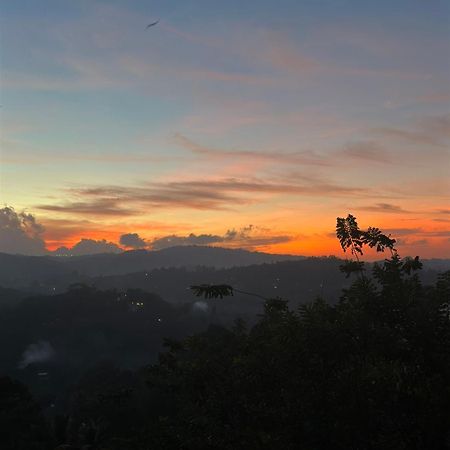 Kandy Hill Escape Екстер'єр фото